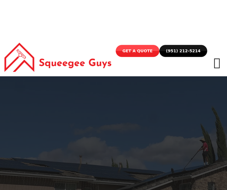 SqueegeeGuys