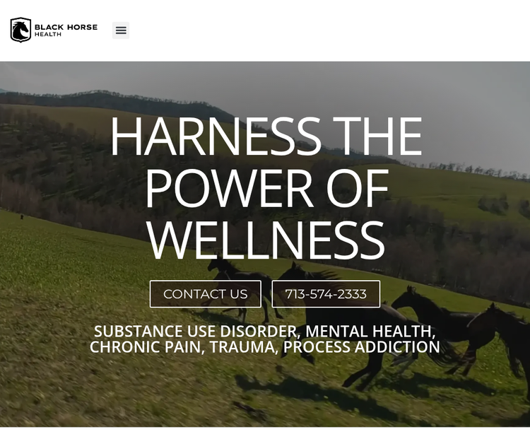 Black Horse Health, we offer premier mental health, substance use disorder (SUD), Houston TX