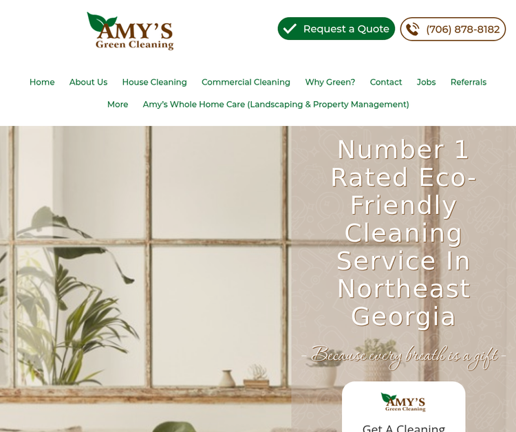 Amy's Green Cleaning