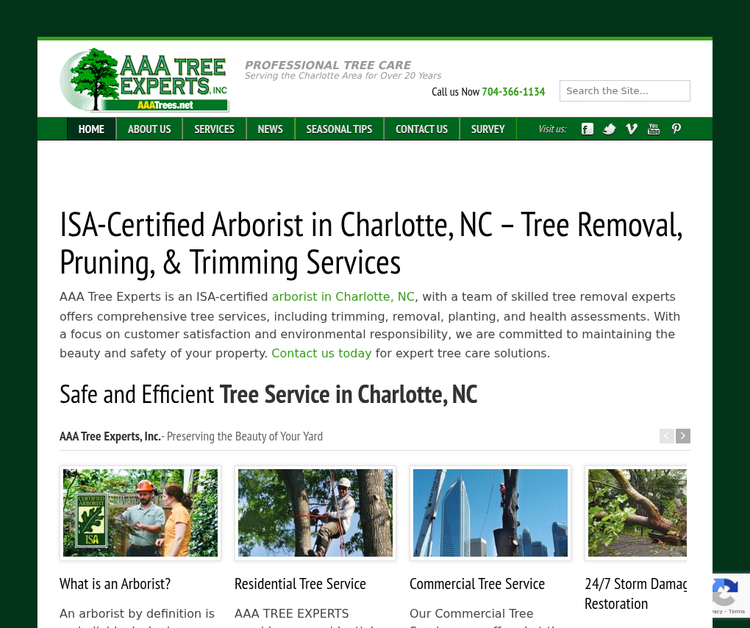 Common Tree Hazards Found After Storms in Charlotte Neighborhoods