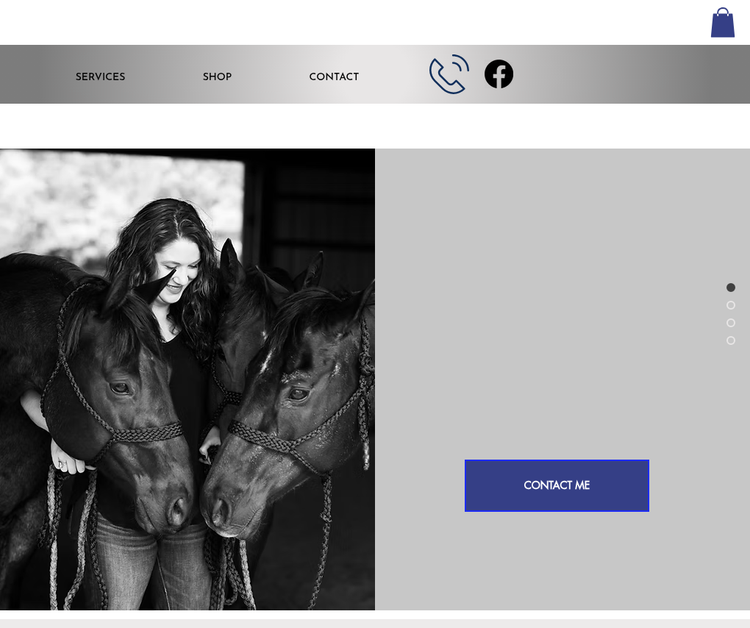 Divine Equine LLC